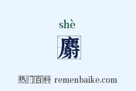 麝是什么意思的图片